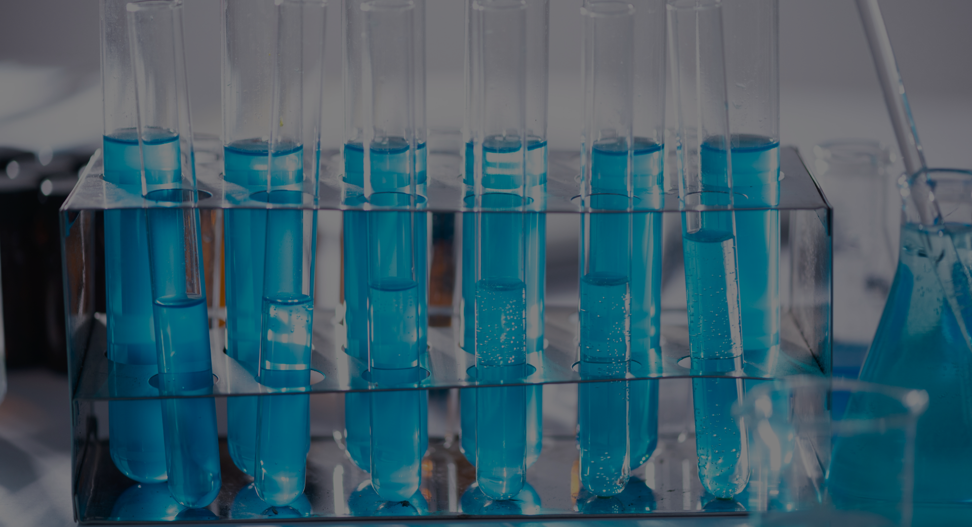 Laboratory Medicine Federation